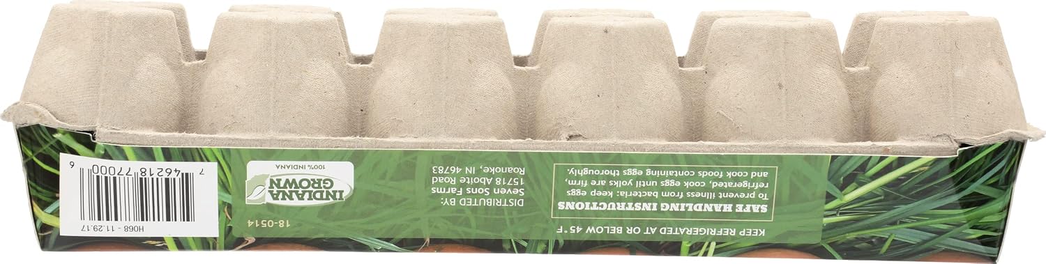 SEVEN SONS FARMS Large Grade A Eggs, 12 CT