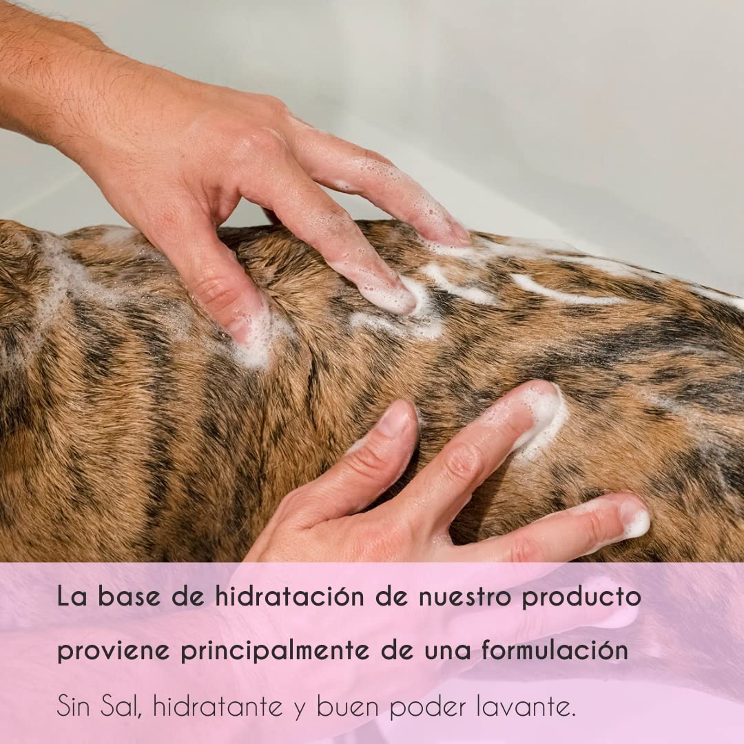 Petuxe Champú Vegano para Mascotas sin Sal Mandarina. para Manos irritadas. Perros y Gatos.Todas Las Razas. Uso Profesional Peluquero canino - 5000 ml
