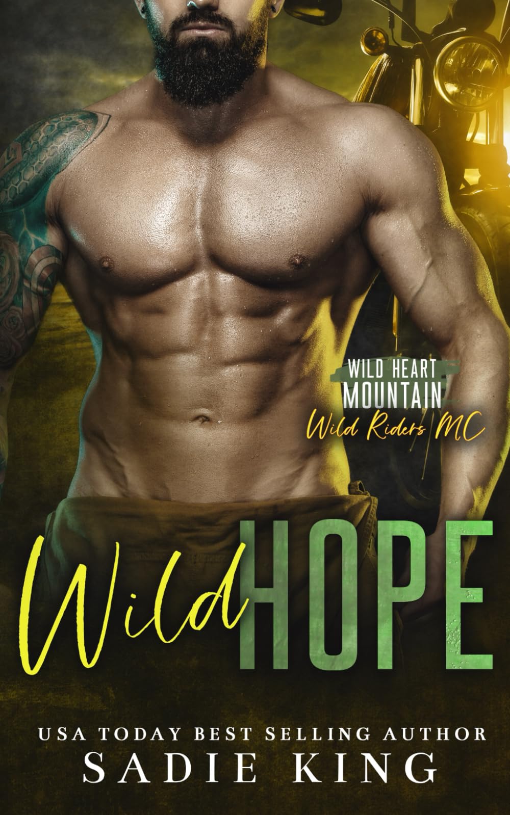 Wild Hope: A Big Brother's Best Friend Romance (Wild Heart Mountain: Wild Rider's MC)