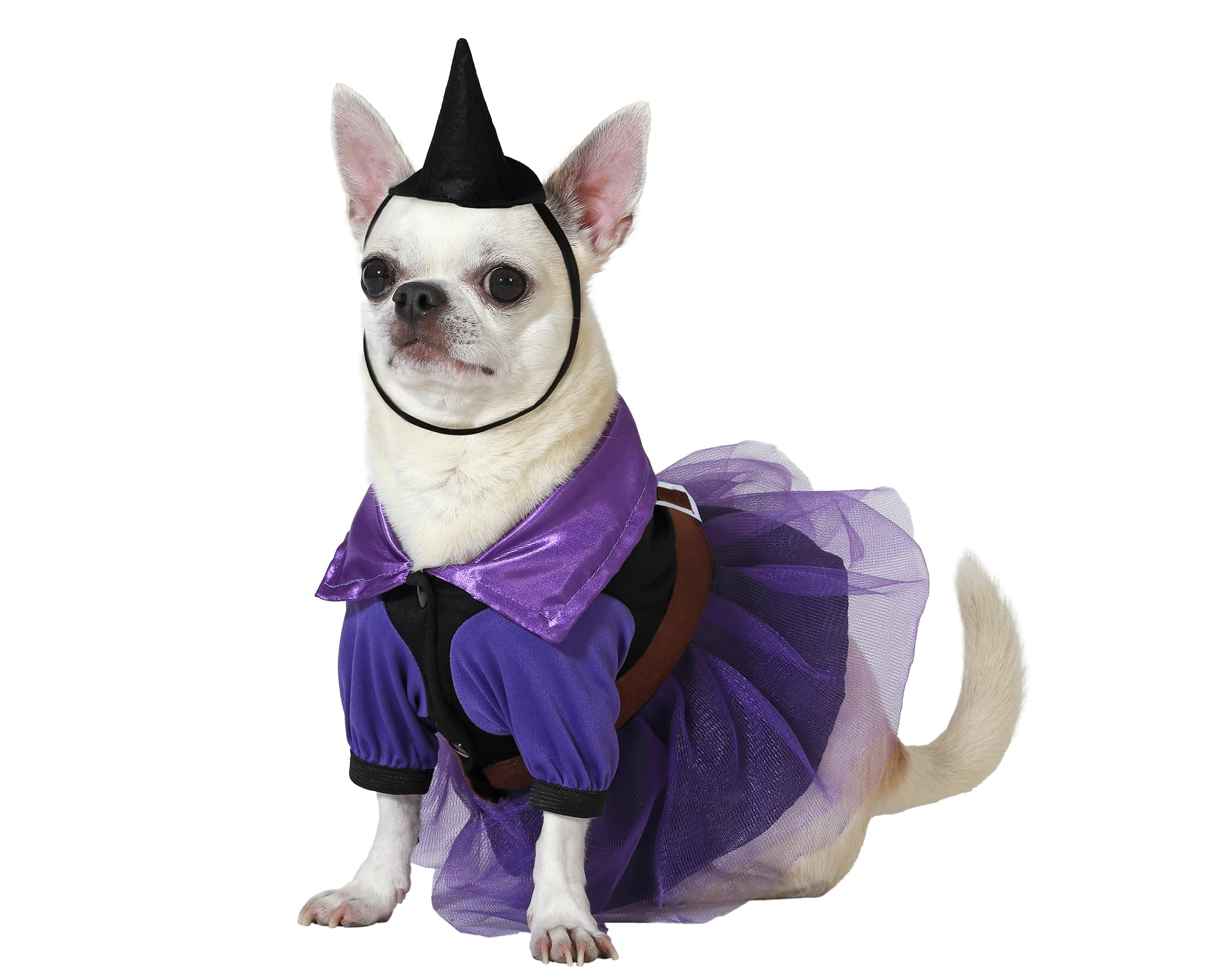 ATOSA Costume for Pet Witch Violet Dress with Hat