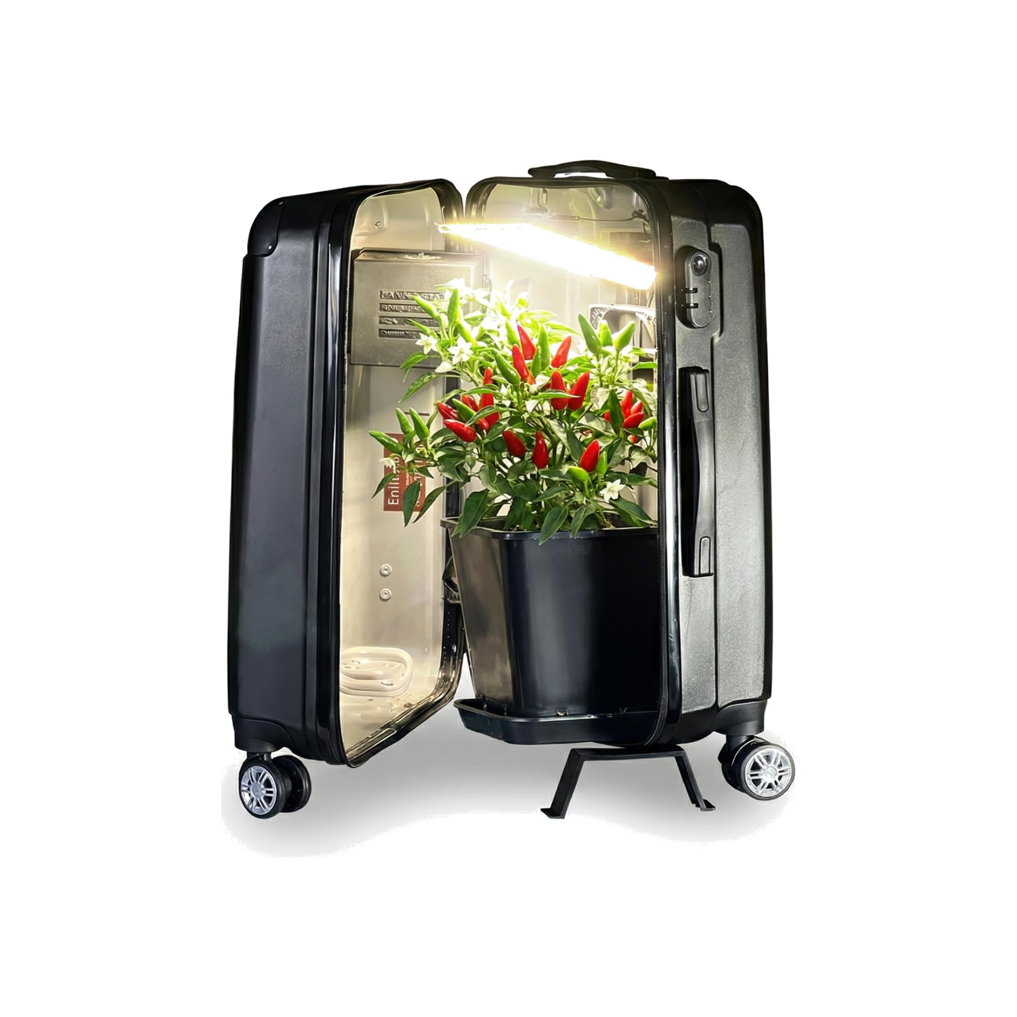 Petite Chambre de Culture Portable Neo V3.0 – Valise de Culture Discrète avec LED Bonsanto, Filtre à Charbon Silencieux, Ventilation Optimisée – Kit Complet avec Terre, Pots (3,2L) & Engrais