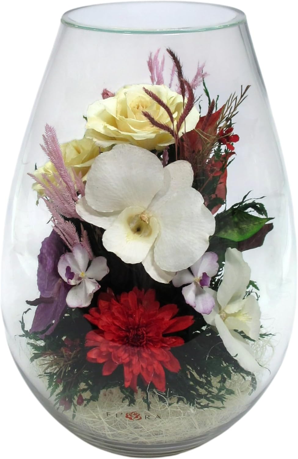 Fiora Flower | Preserved Roses & Floral Arrangement in Sealed Glass Vase | Lasts up to 5 Years | Elegant Gift for Weddings, Birthdays, and Anniversaries (Lush)