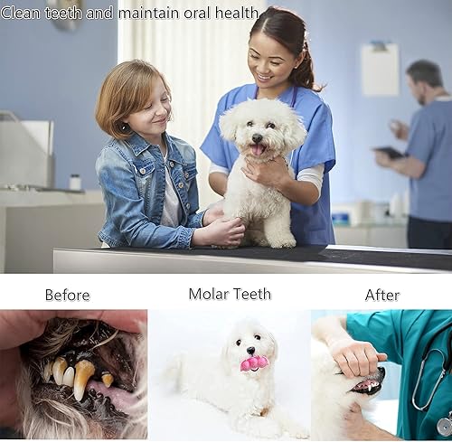 Miniatura 6 de Decormax Paquete de 3 juguetes masticables para perros para dentición de cachorros de 2 a 8 meses juguetes de dentición para cachorros paquete de