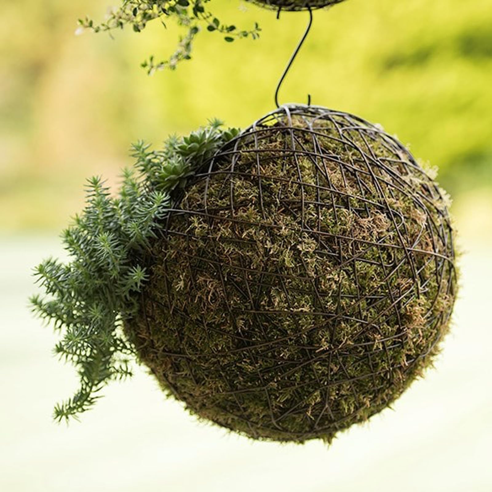 Crocus Collection 30cm Hanging Wire Ball Living Sculpture Garden Ornament Rustic Outdoor Indoor Chic Decoration Planter
