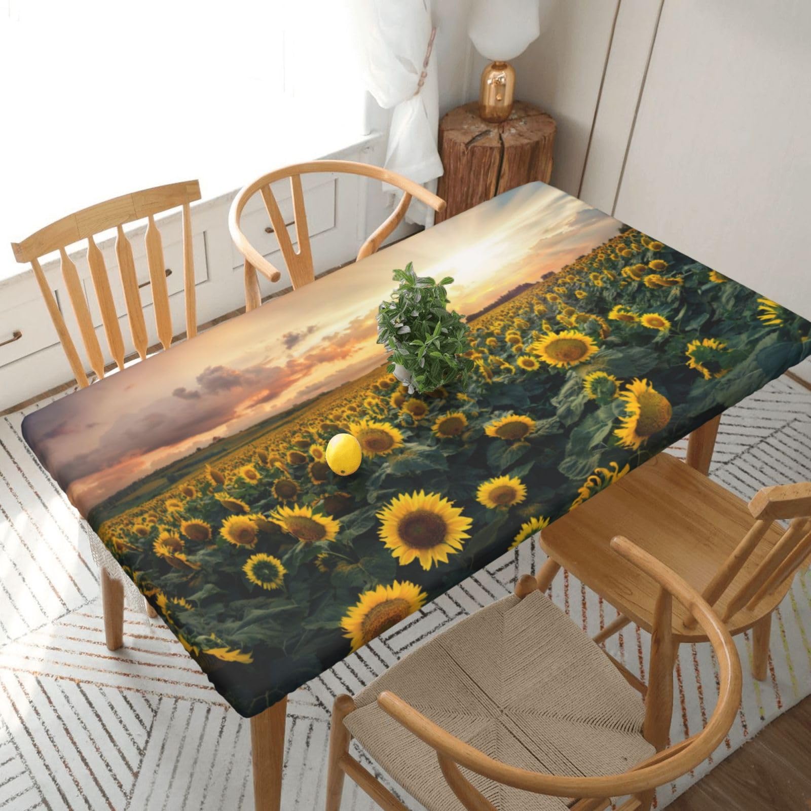 DCEHGEW Elastic Fitted Rectangle Tablecloth for 5ft Tables, Sunflower Farmland Printed Oilproof & Washable Fabric Picnic Table Cloth Table Covers