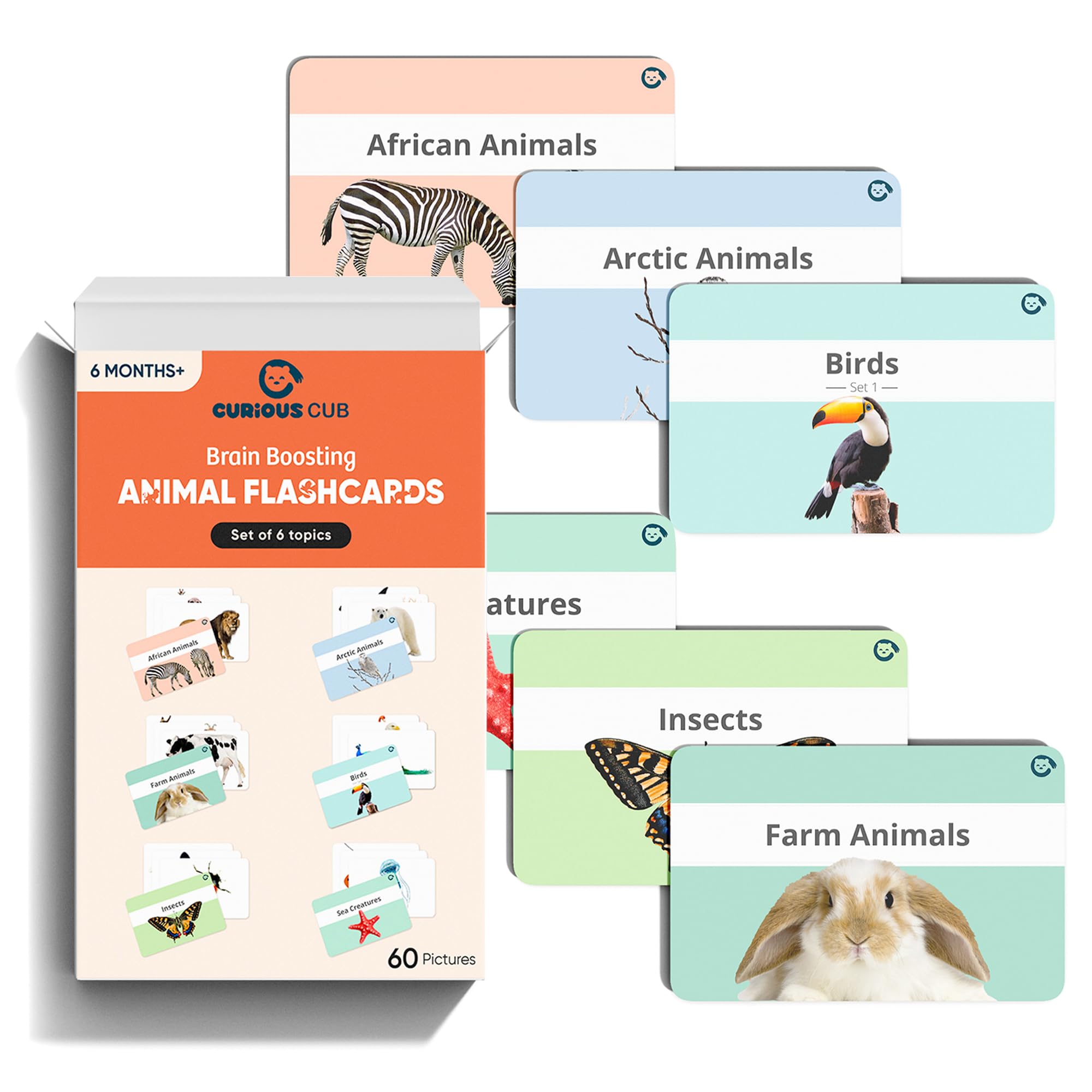 Curious Cub Animal Flash Cards for Babies and Infants | Flash Cards for Babies 6 Months to 3 yrs | Large 60 Colourful Flashcards for Visual Stimulation & Early Brain Development for Kids