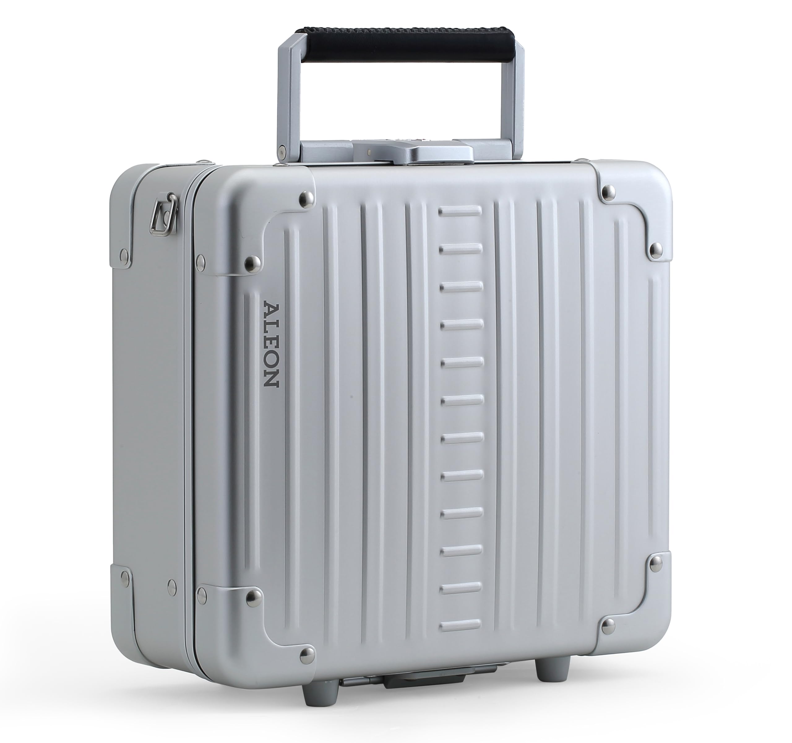 Aleon Diversity - Beauty Case 27 cm platinum