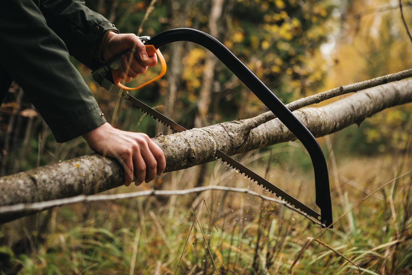 Person sawing a branch in a forest