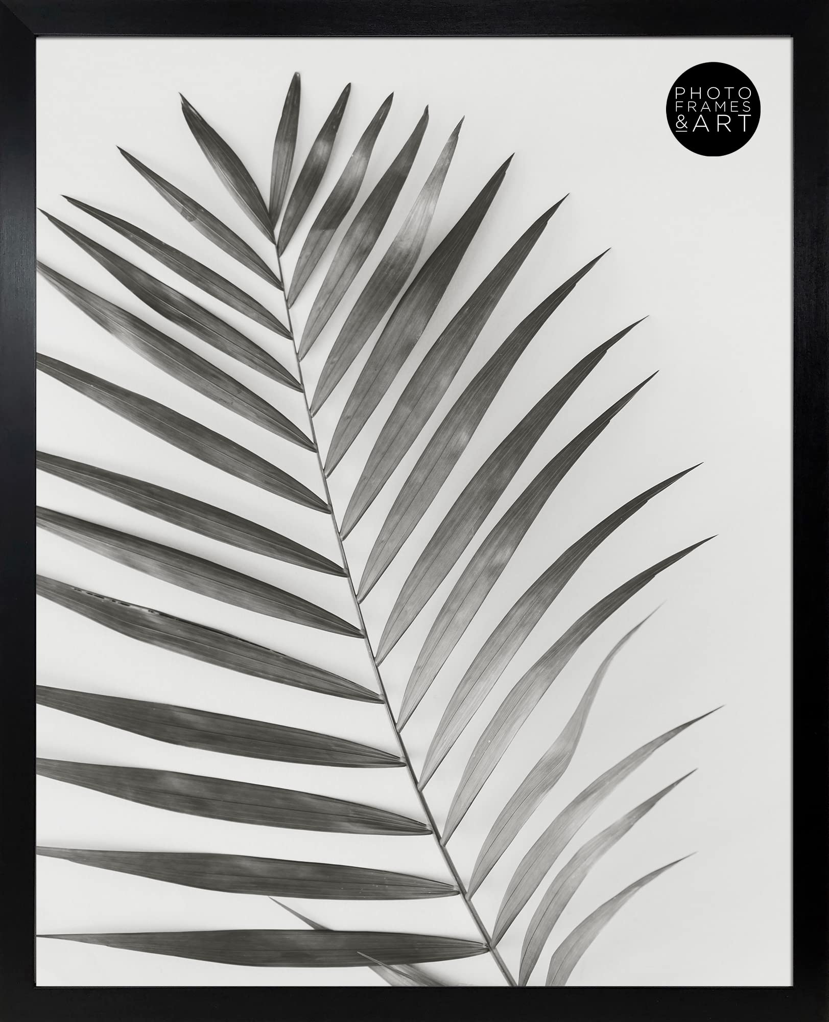 Pf+A Black Real Glass Frame For 20X16 Poster - 20X16 Inch Oxford Picture Frame / 20X16 Inch Picture Frame