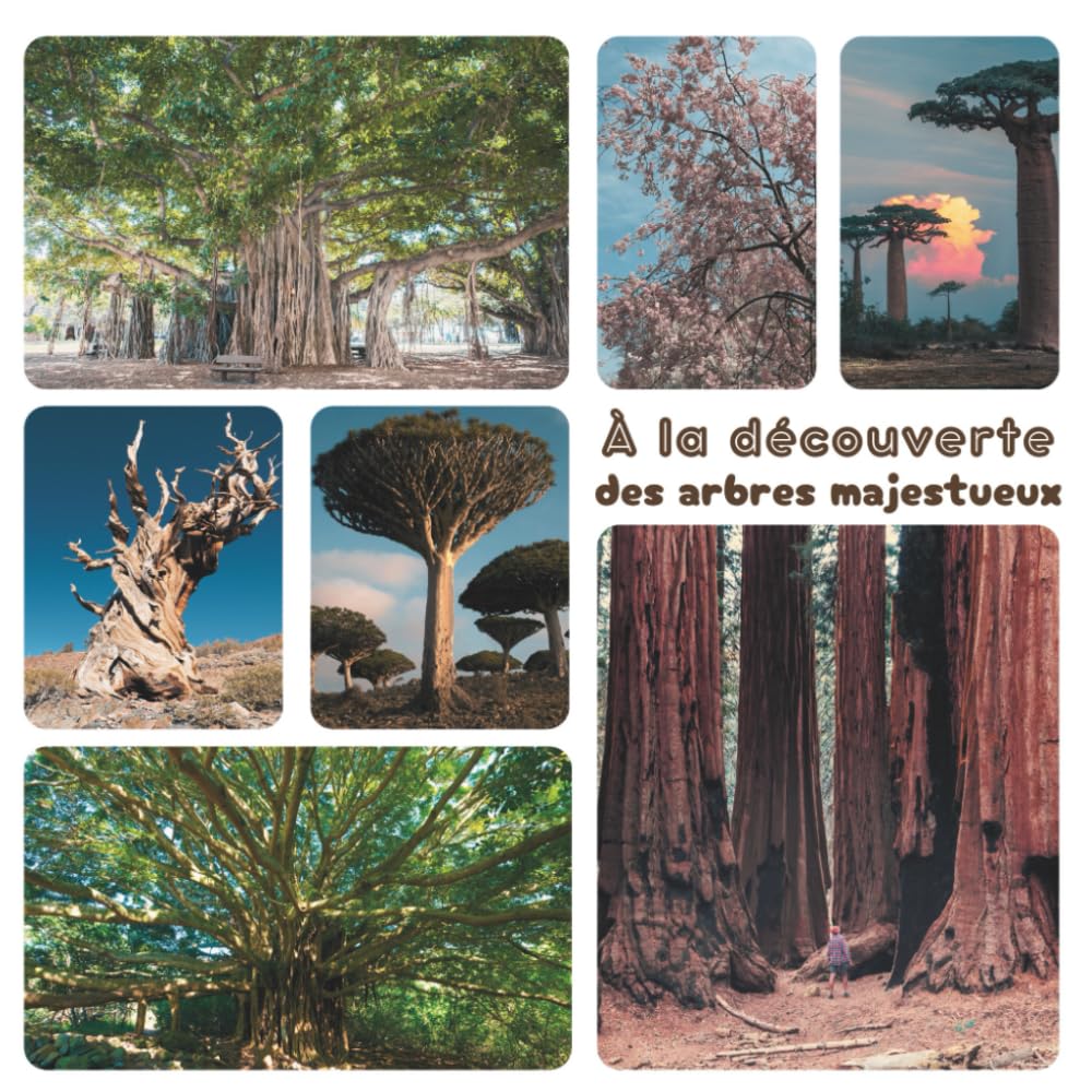 À la découverte des arbres majestueux