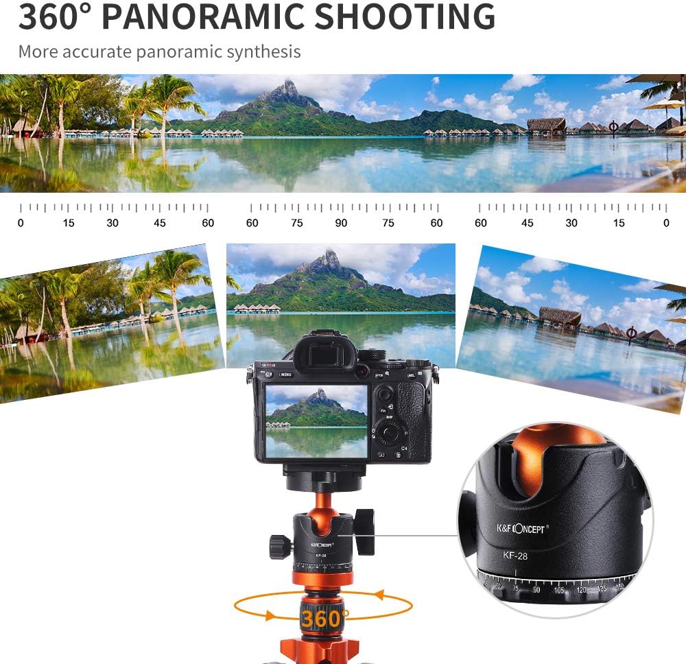 78 inch Camera Tripod+Quick Release Plate : Electronics