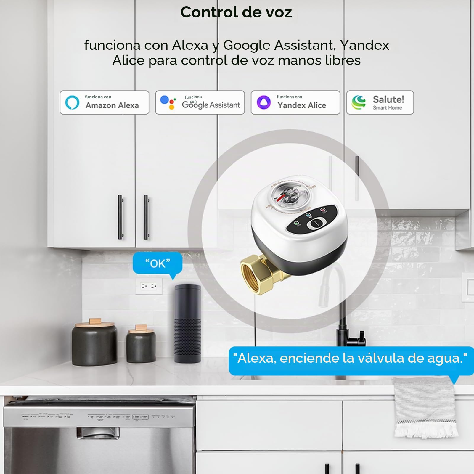 Válvula de agua WiFi impermeable IP65 con control de voz automático por aplicación programada - Válvula de agua inteligente DN20