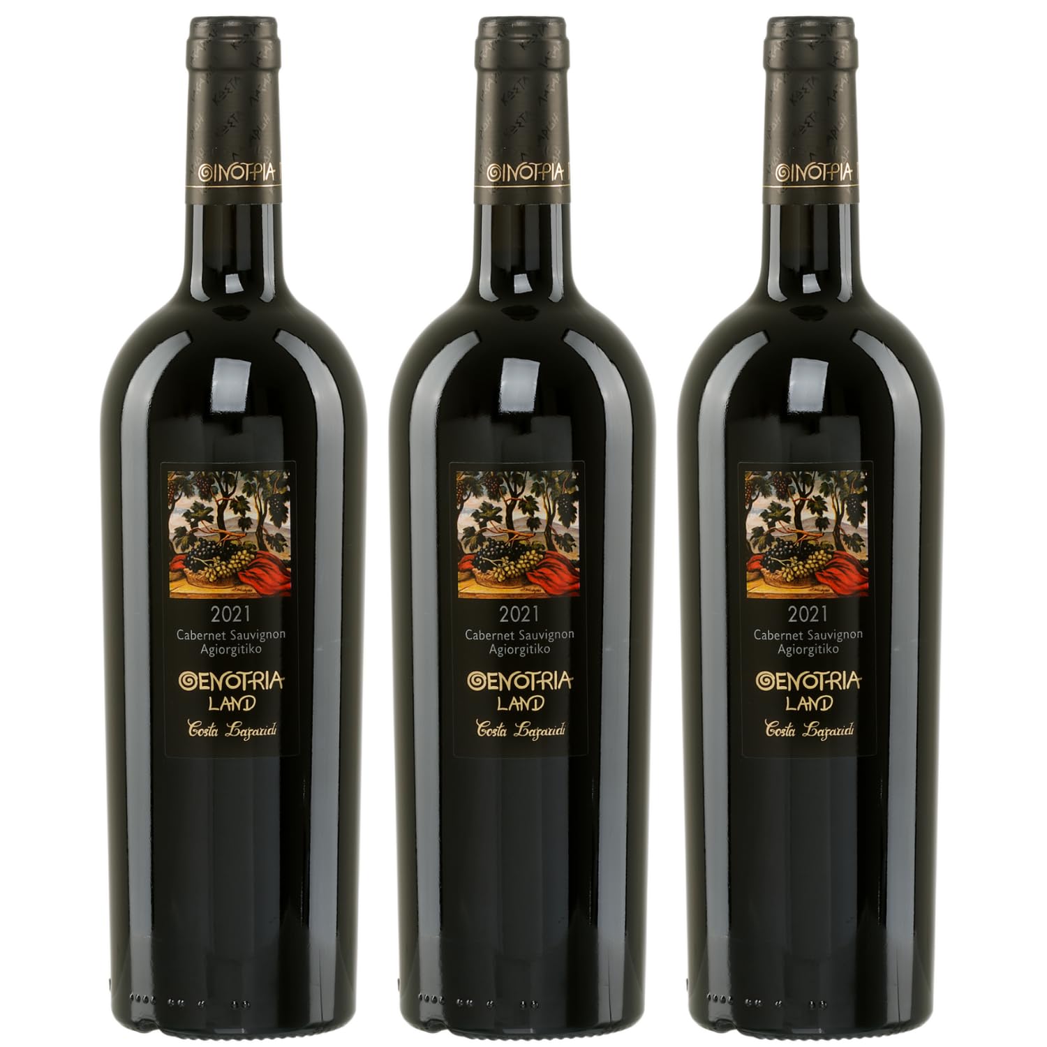 Rotwein aus Griechenland 3x 0,75l | Oenotria Land Bio Cabernet Sauvignon & Agiorgitiko | Costa Lazaridi | Trocken & kraftvoll | Bio-Rotwein | 14,5% Vol. | GR-BIO-01 | + 20ml Jassas Olivenöl