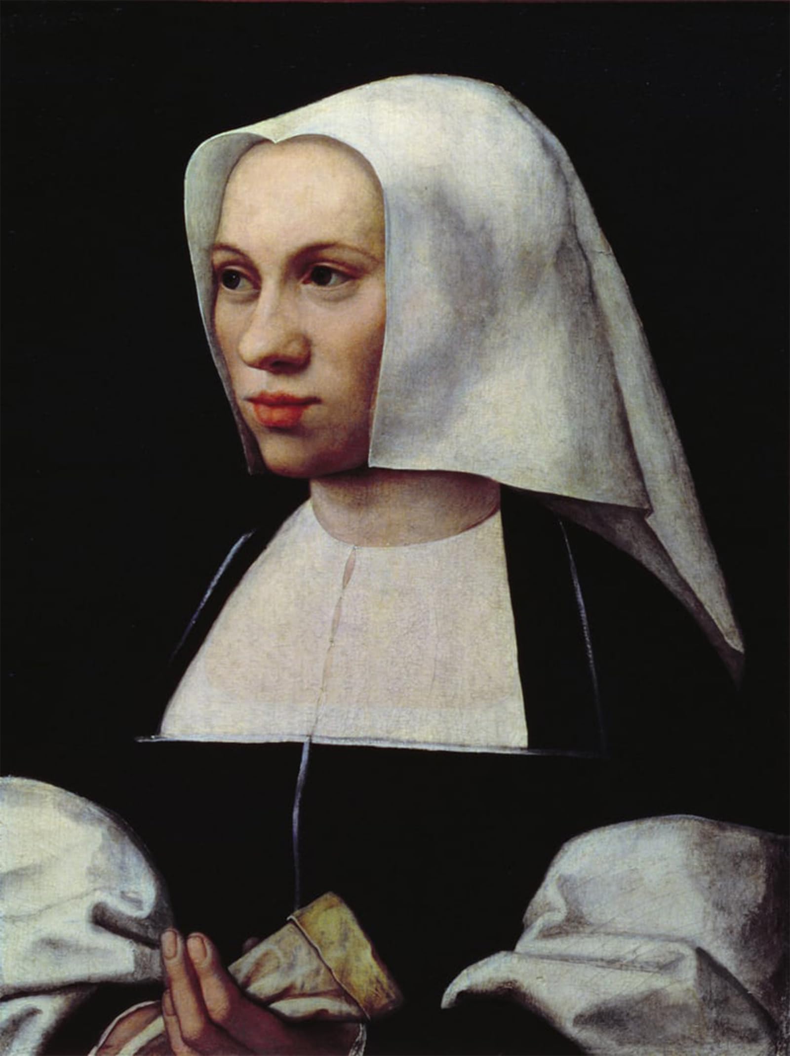 POSTERIIk Famous Animal Posters Vintage Picture Portrait of a Woman by Bernard Van Orley Modern Wall Decor for Home Decor 60x90cm
