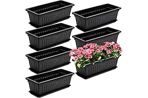 Fasmov Window Box Planters for Vegetables and Flowers