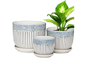 Ceramic Indoor Planter