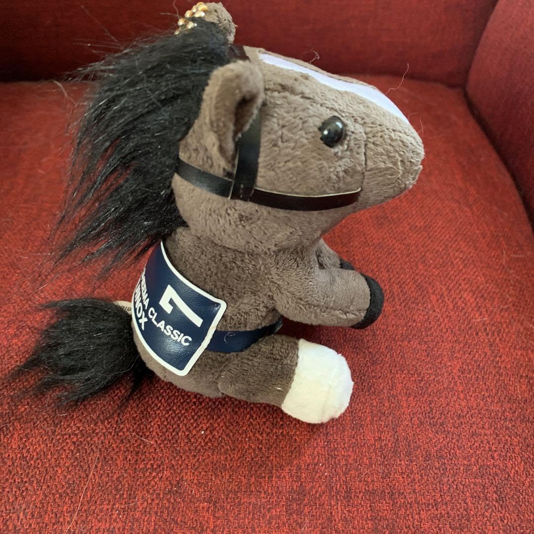 ［競馬］イクイノックス（ドバイシーマクラシック）ぬいぐるみS／初期版／プレート付 71cV-UcxaoL._AC_SY200_QL15_.jpg