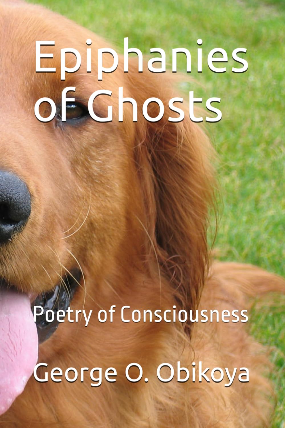 Epiphanies of Ghosts: Poetry of Consciousness