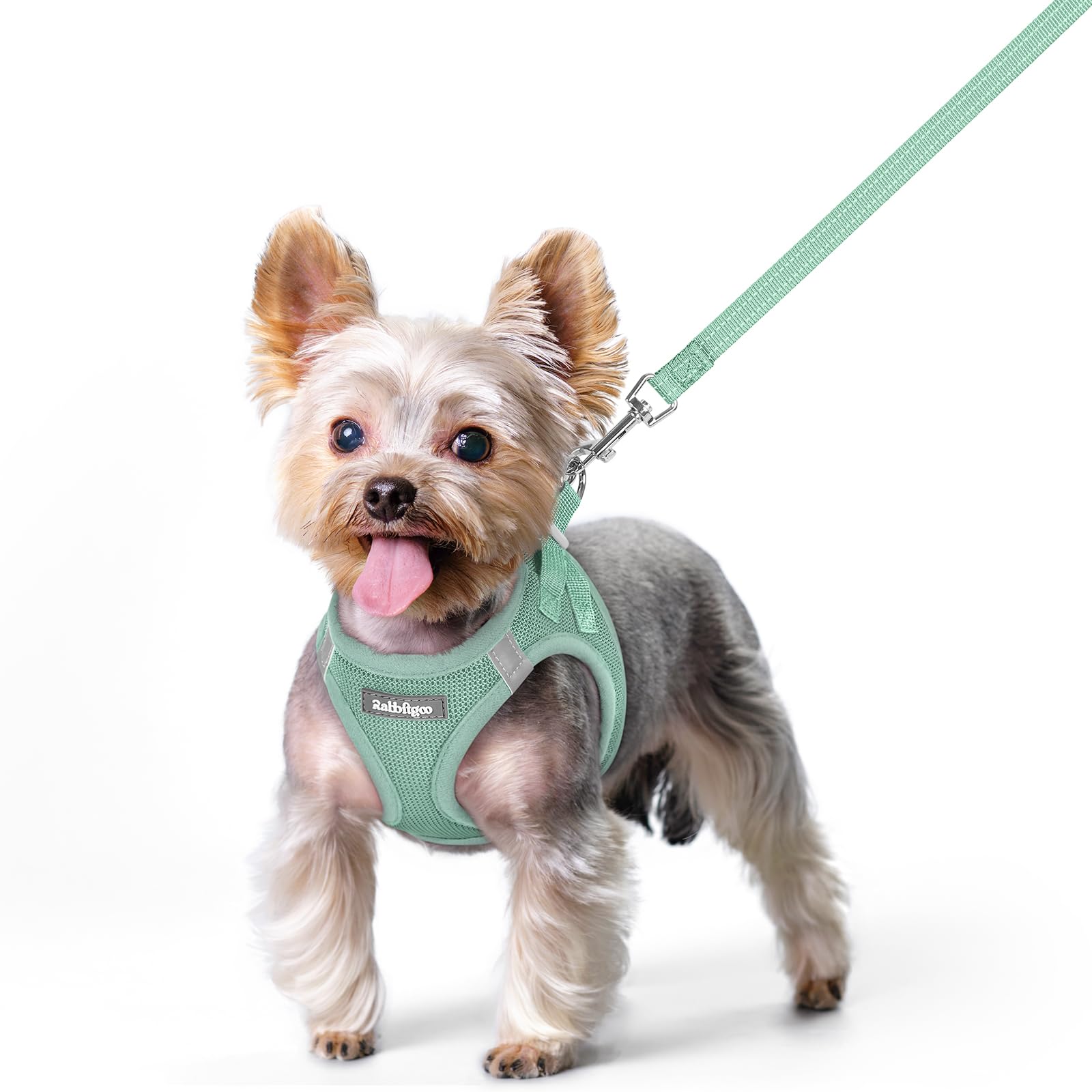 rabbitgoo Dog Harness Small Sized and Leash Set, Step-in Puppy Pet Vest