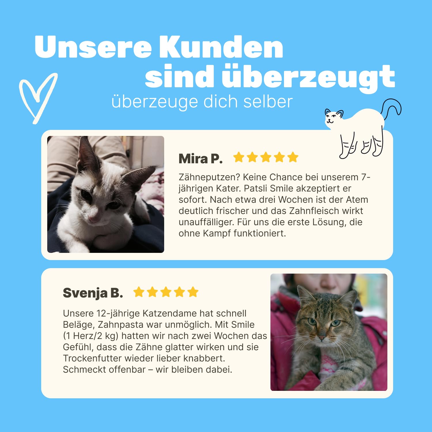 6-in-1 Zahnpflege-Snacks für Katzen | Reduziert Neubildung von Zahnstein & Maulgeruch | Unterstützt Maulhygiene | Ergänzungsfuttermittel Katze | Tierärztlich entwickelt | Patsli Smile