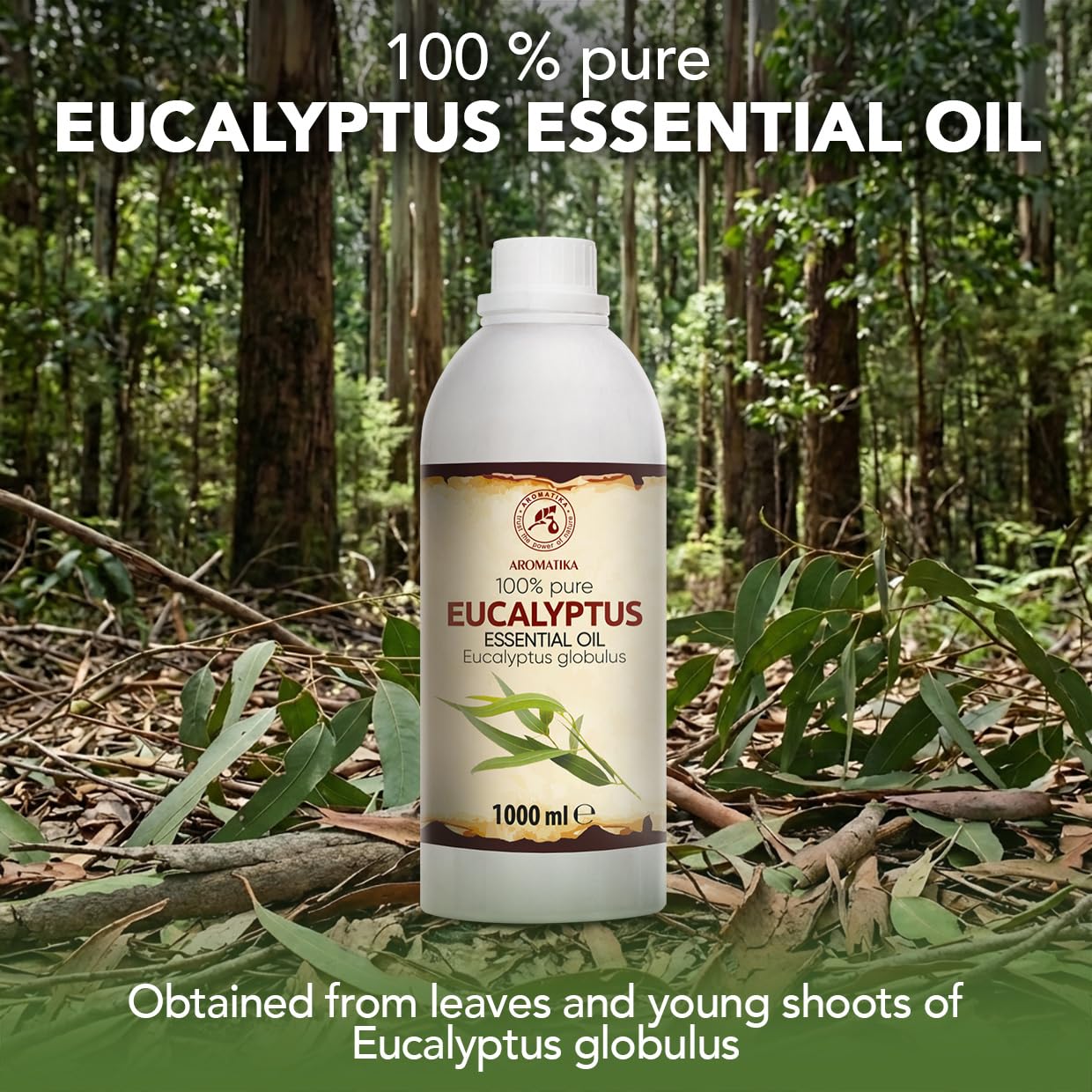 Olejek Eteryczny Eukaliptusowy 1000 ml - Eucalyptus Globulus - Olejek Aromatyczny do Dyfuzora - Aromaterapia - Świece Zapachowe - Mydła - Odświeżanie Powietrza