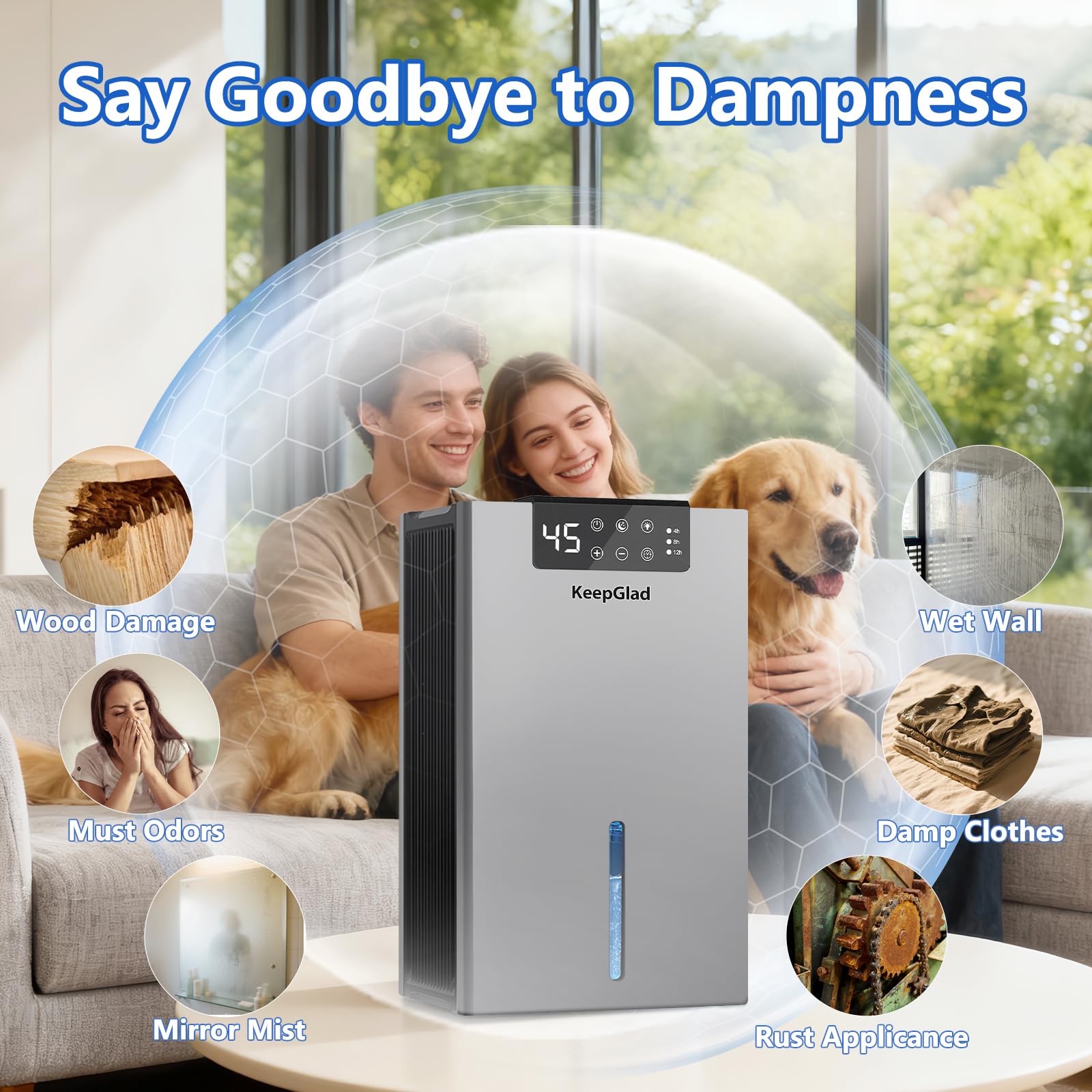 https://m.media-amazon.com/images/I/71gT5MF6b9L.jpg