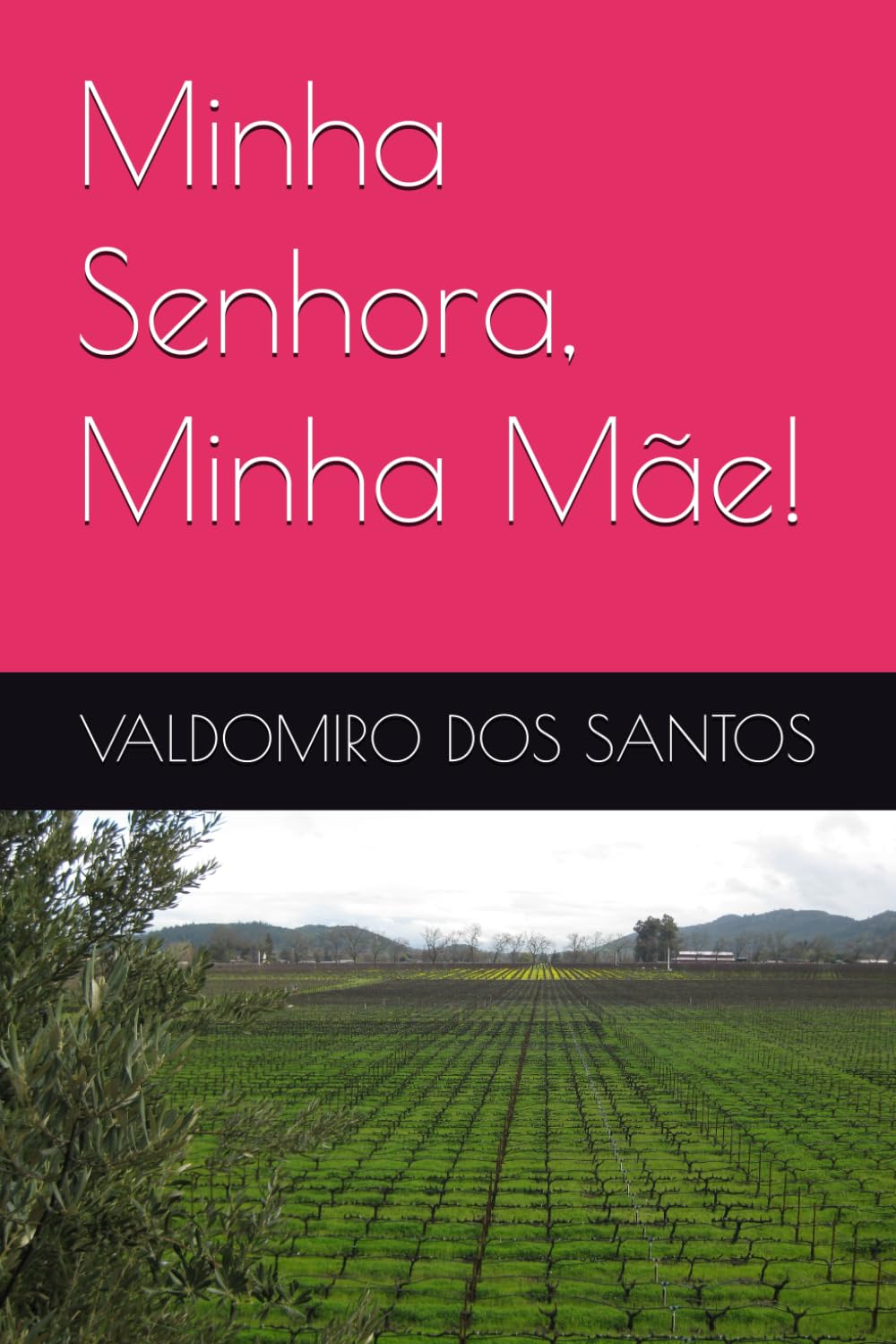Minha Senhora, Minha Mãe!