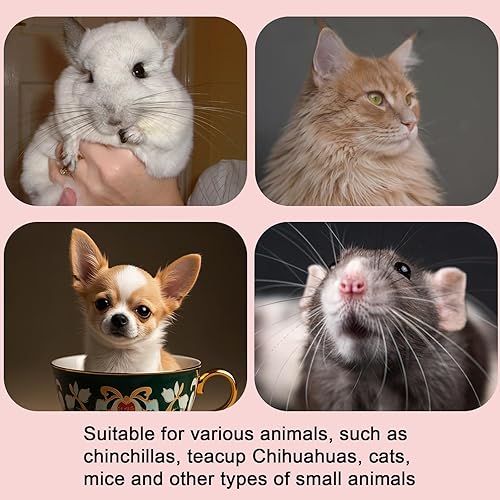 Small Animal Harness and Leash Set, Leopard Print Ferret Leash and Harness Soft Ferret Clothes Stuff Kit Outdoor Walking Accessories for Tiny Pet Rabbit Bunny Guinea Pig Hamster Puppy Kitten