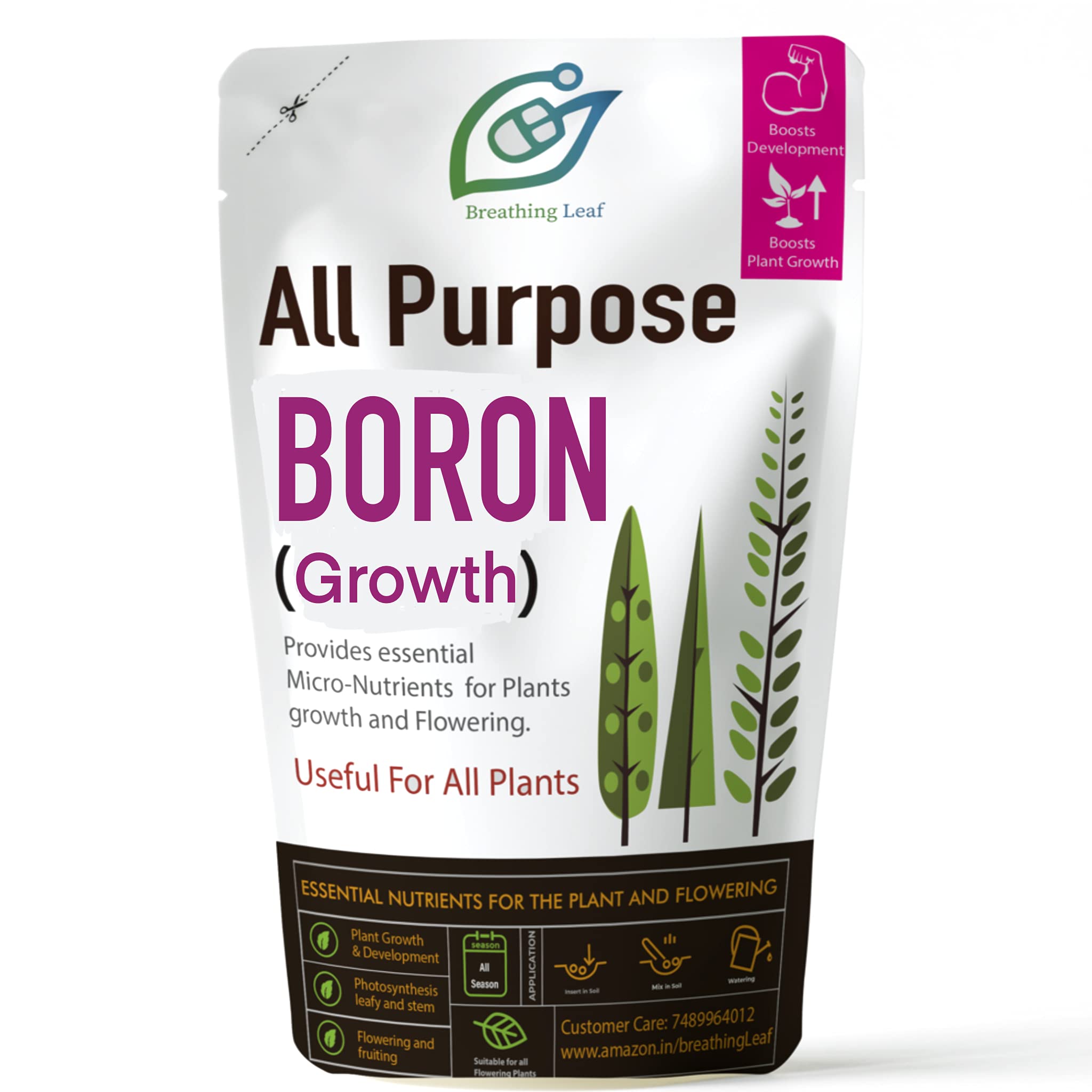 BreathingLeaf Boron (Essential Micronutrient for Plants) | Important for Seed development and prevent fruit/flower falling | (100 gm) (B08T8R9T3J) Amazon Price History, Amazon Price Tracker