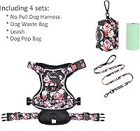 Vista 67 de Petmolico - Juego de arnés para perro sin tirones, 2 correas de sujeción con asa de fácil control, chaleco reflectante para razas pequeñas, arnés