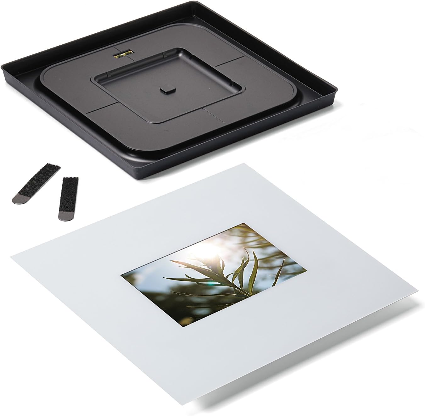 Command Decor Damage-Free Wall Tile Kit, 5 x 7", White, White Frame & Riser