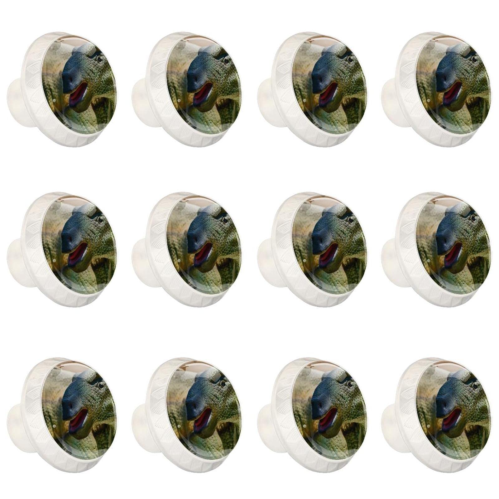 Boutons d'armoires de cuisine ronds à motif Dino pour tiroir de commode enfant x12