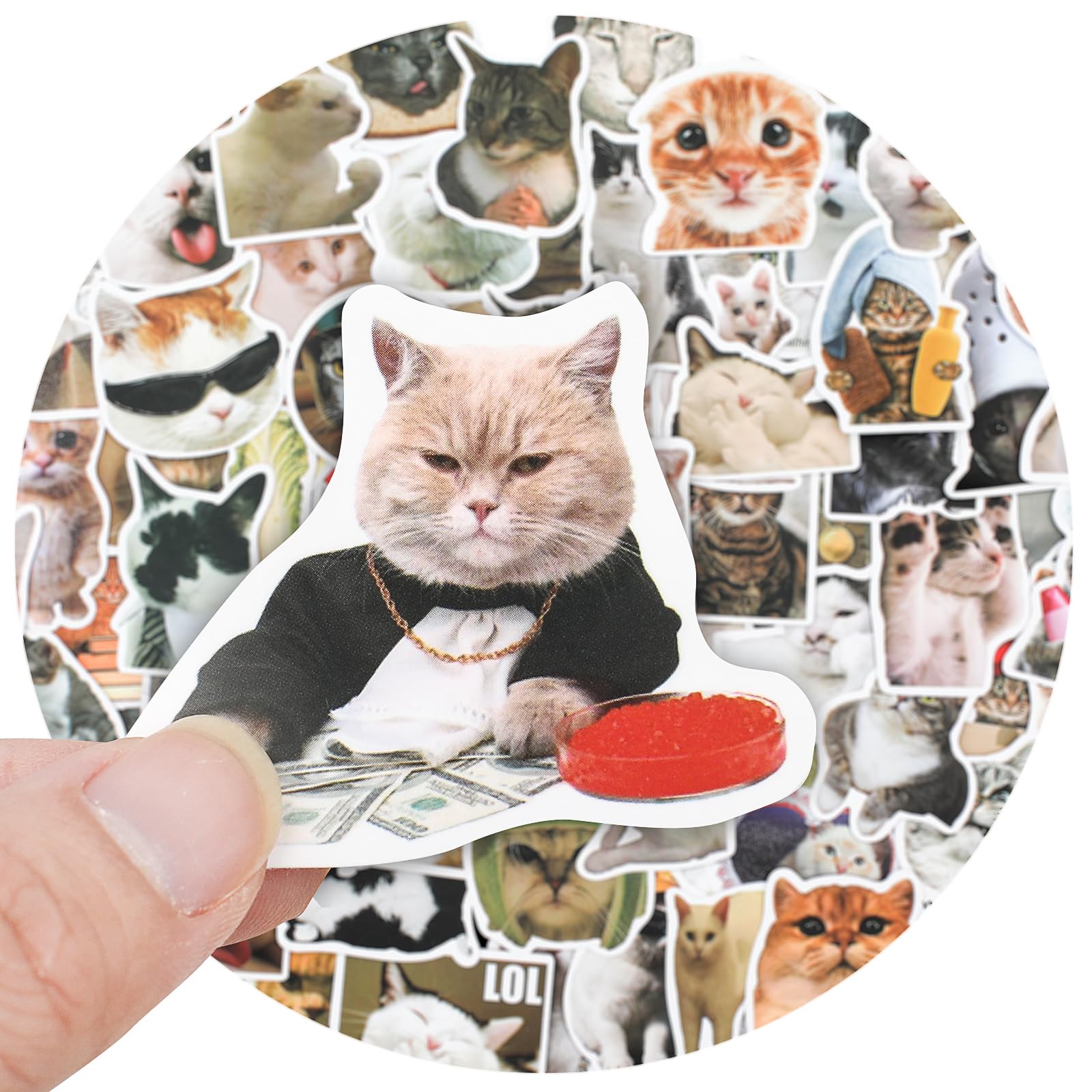 Set di adesivi meme di gatti neri: divertenti adesivi in vinile con gatti vuoti per laptop, bottiglie d'acqua, diari: giudizio, panico, bip - resistenti all'acqua! - Italia