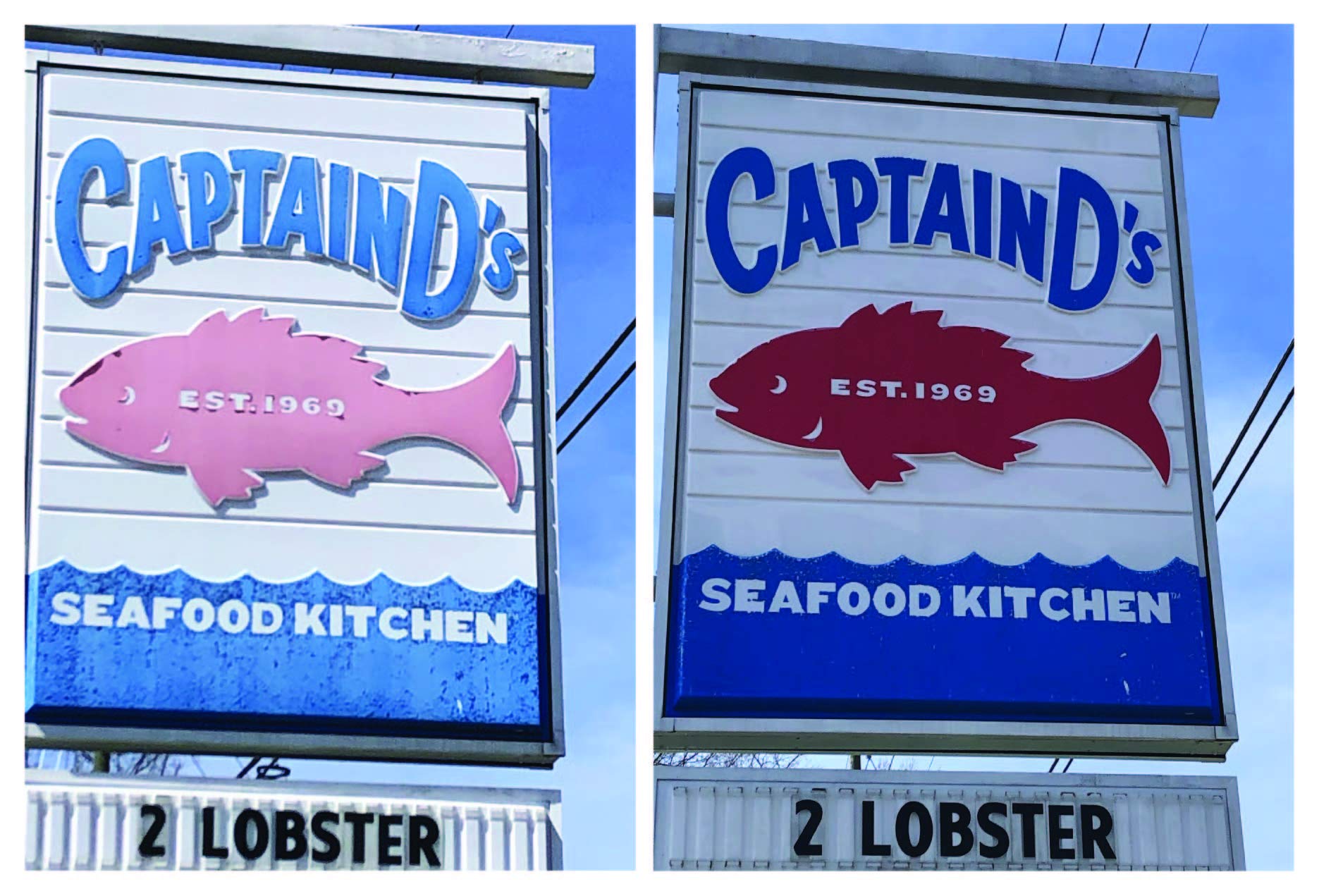 Buy Vinyl Renu PRO 5 GallonVinyl Siding & Multi Surface Restorer