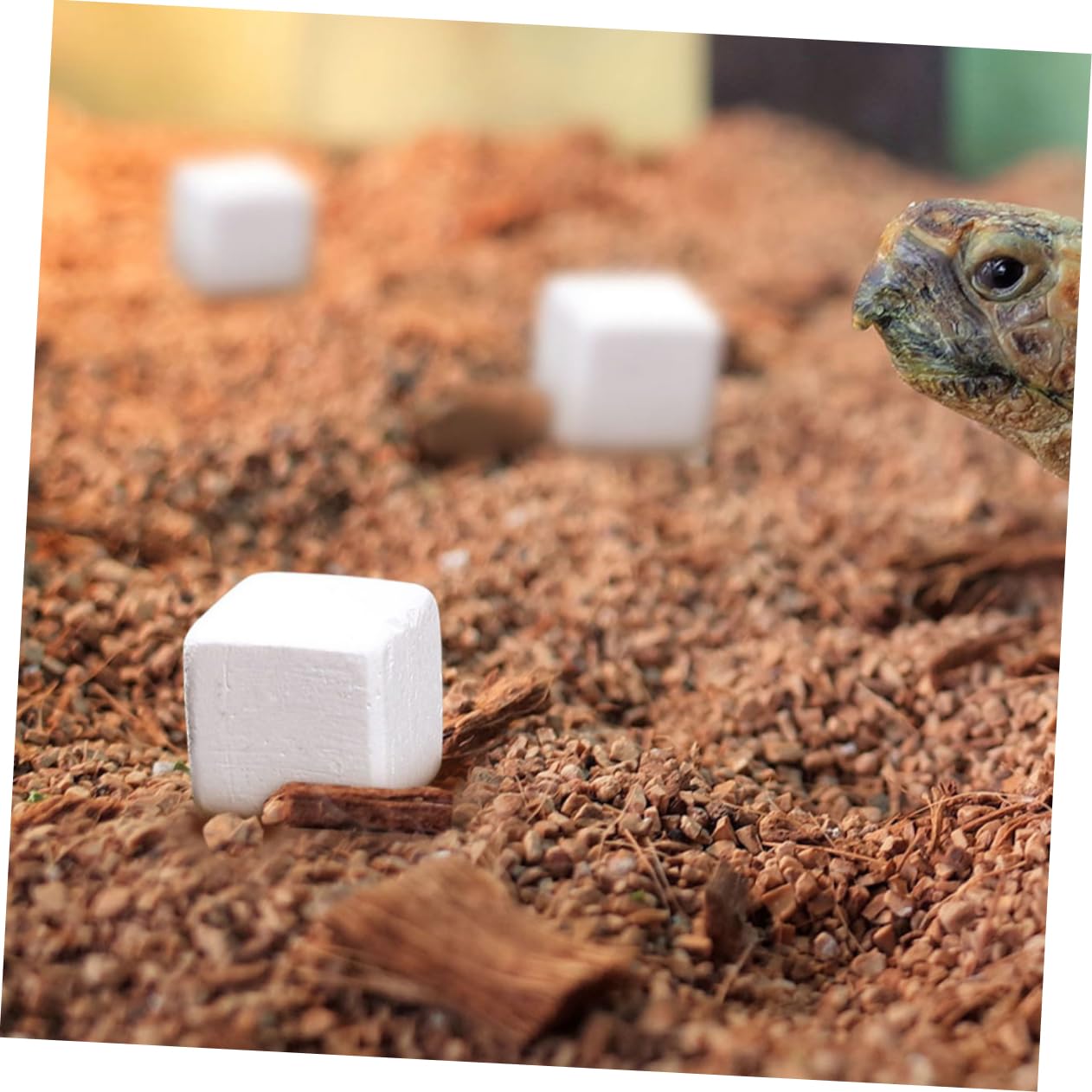 Bloques Minerales Calcio para Tortugas y Reptiles Acuáticos, Complemento Nutricional 30 Unidades, Minerales Naturales para Salud Dental y Estabilización del Agua, Adecuado