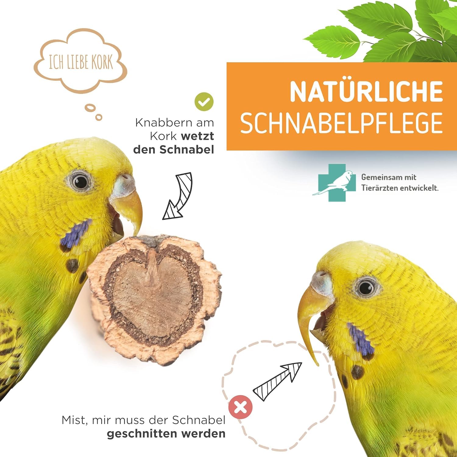 Vogelgaleria® 2 posatoi in sughero con corteccia di sughero per sedersi e sgranocchiare, per uccelli e uccelli, per la cura degli artigli, in sughero