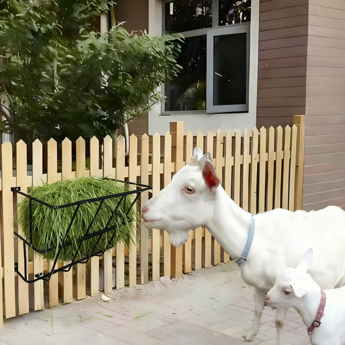 Hay Feeder Goat 18 Gallon Hay Rack,Heavy Duty Iron Wall Hay Rack for Sheep,Cattle,Livestock in Farm Indoor Outdoor Uses