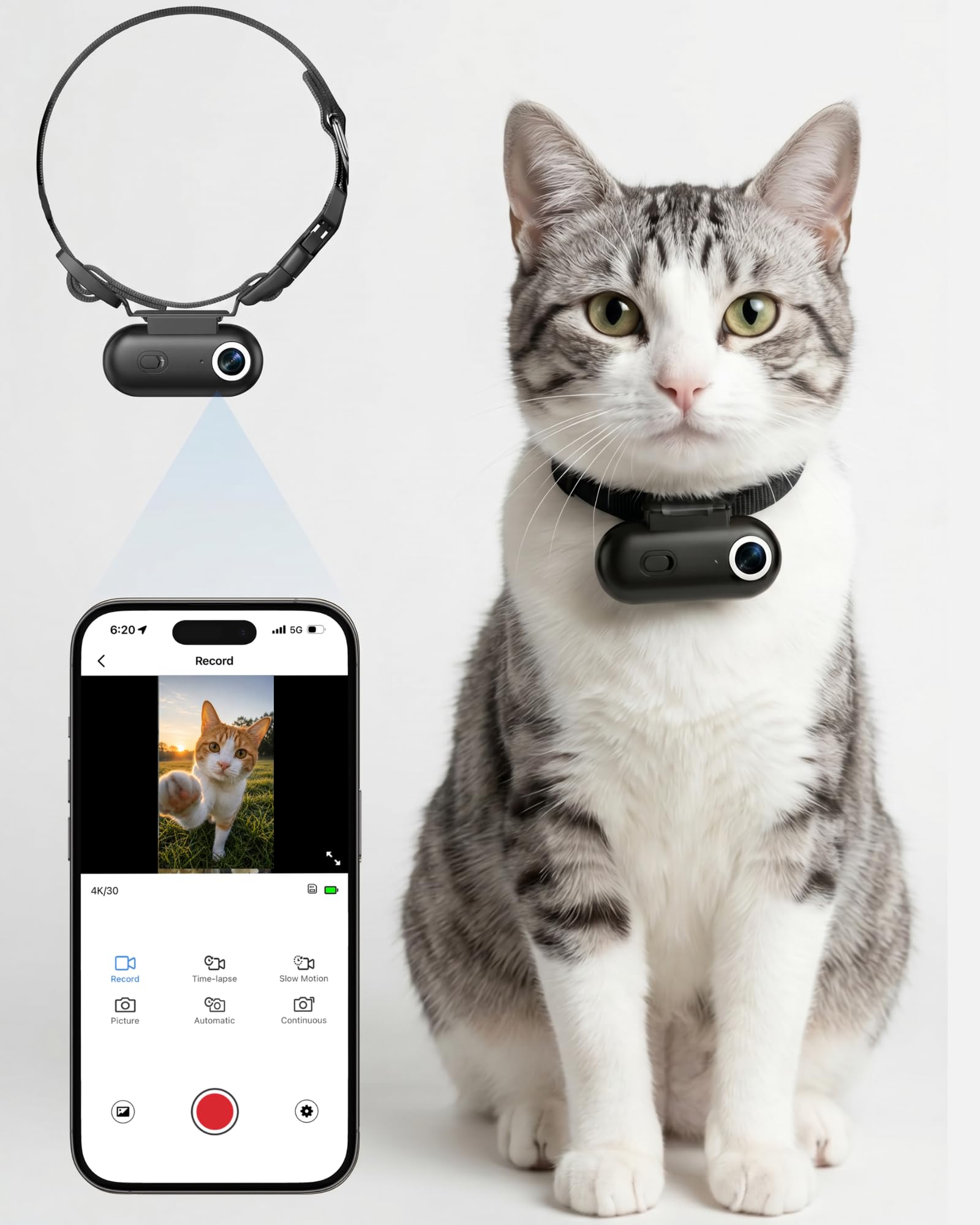 4K Cat Camera Collar with APP, 9:16 Vertical Pet POV Cam for Vlog