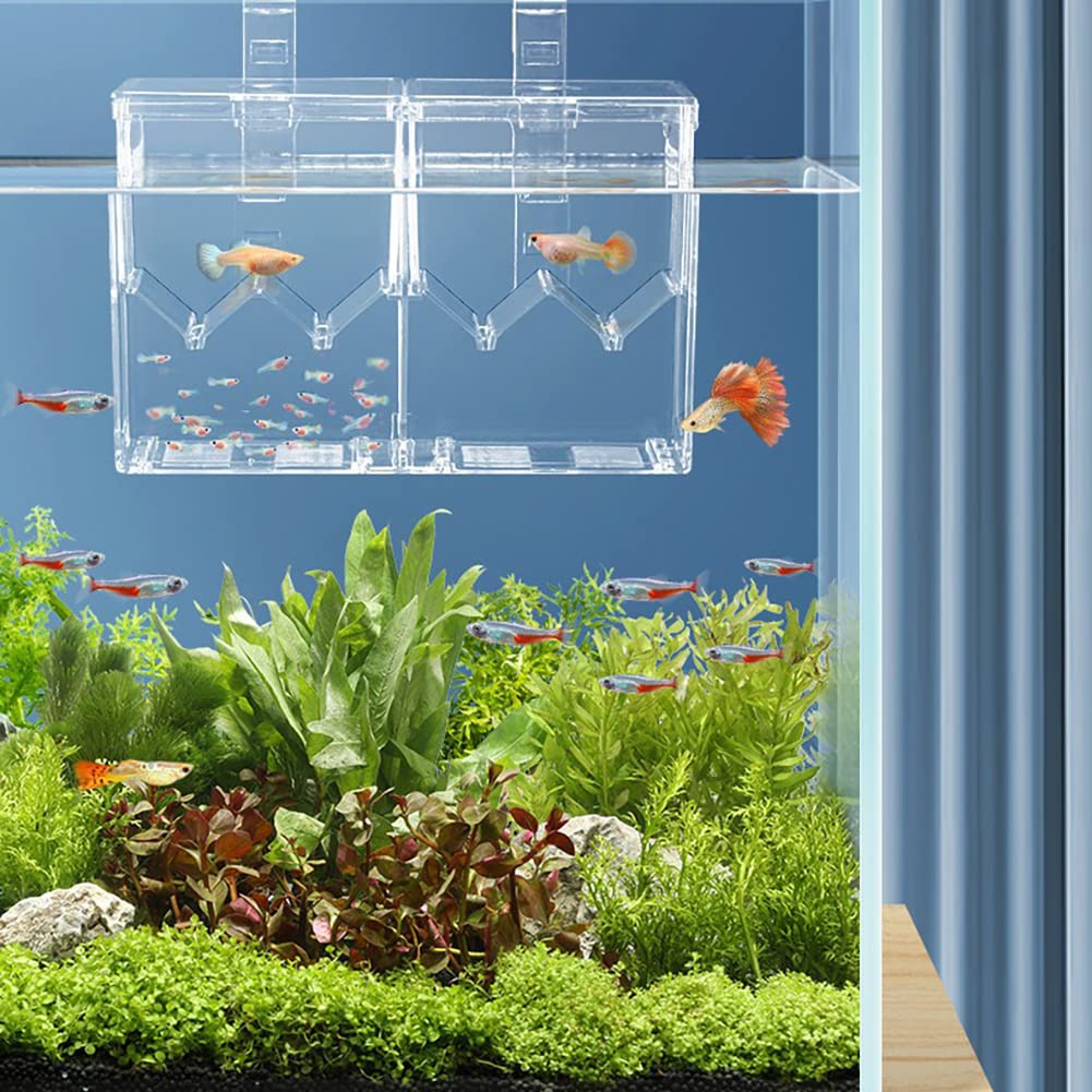 Hapihom Clear Acrylic Mini Fish Tank With Detachable Divided Compartments Beta Fish Tanks Fish Bowl For Fish Shrimp External - Image 4