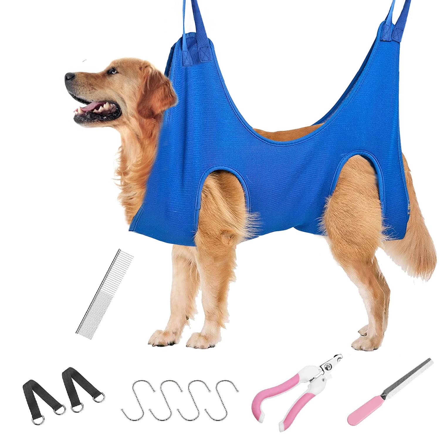 What Does A Dog Grooming Assistant Do