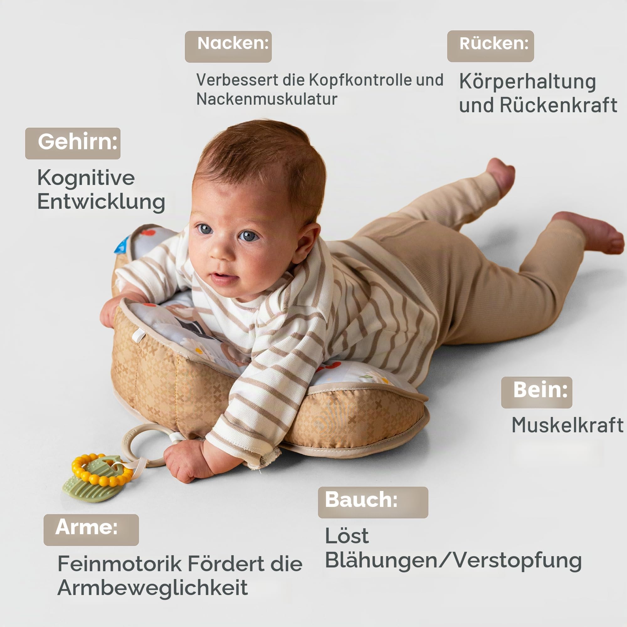 Tummy Time Babykissen Bär – Bauchmuskelkissen mit 2 abnehmbaren Spielzeugen – Entwicklung der motorischen Fähigkeiten und Nackenmuskeln – ab der Geburt – 40 x 27 x 11 cm – 13715