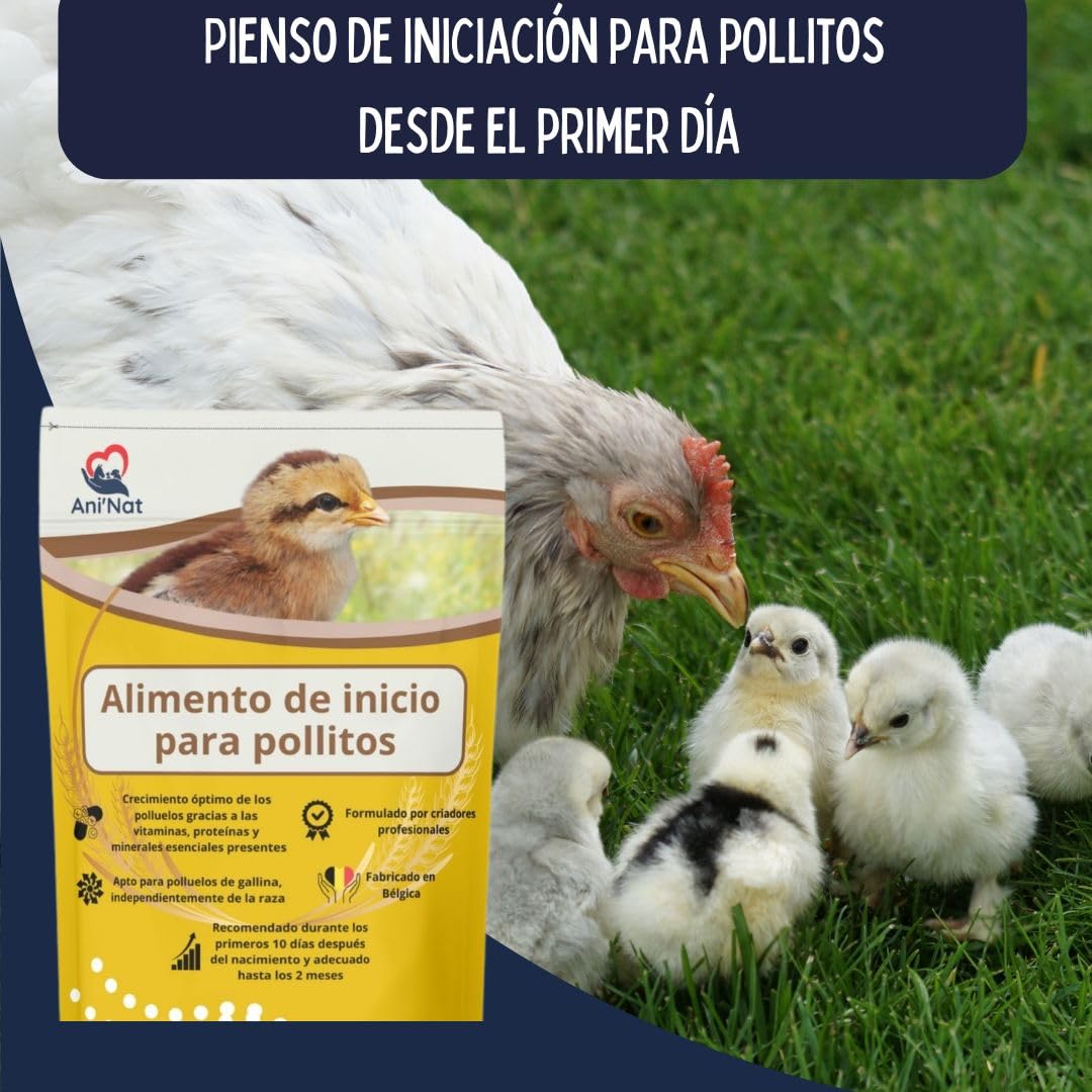 AniNat Alimento de Inicio para Pollitos, Comida de Primera Edad con vitaminas, proteínas y minerales, aceites Esenciales. Apto Desde el Nacimiento. Sin OGM. Sin antibióticos