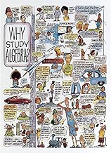 Why Study Algebra? Poster - coolthings.us