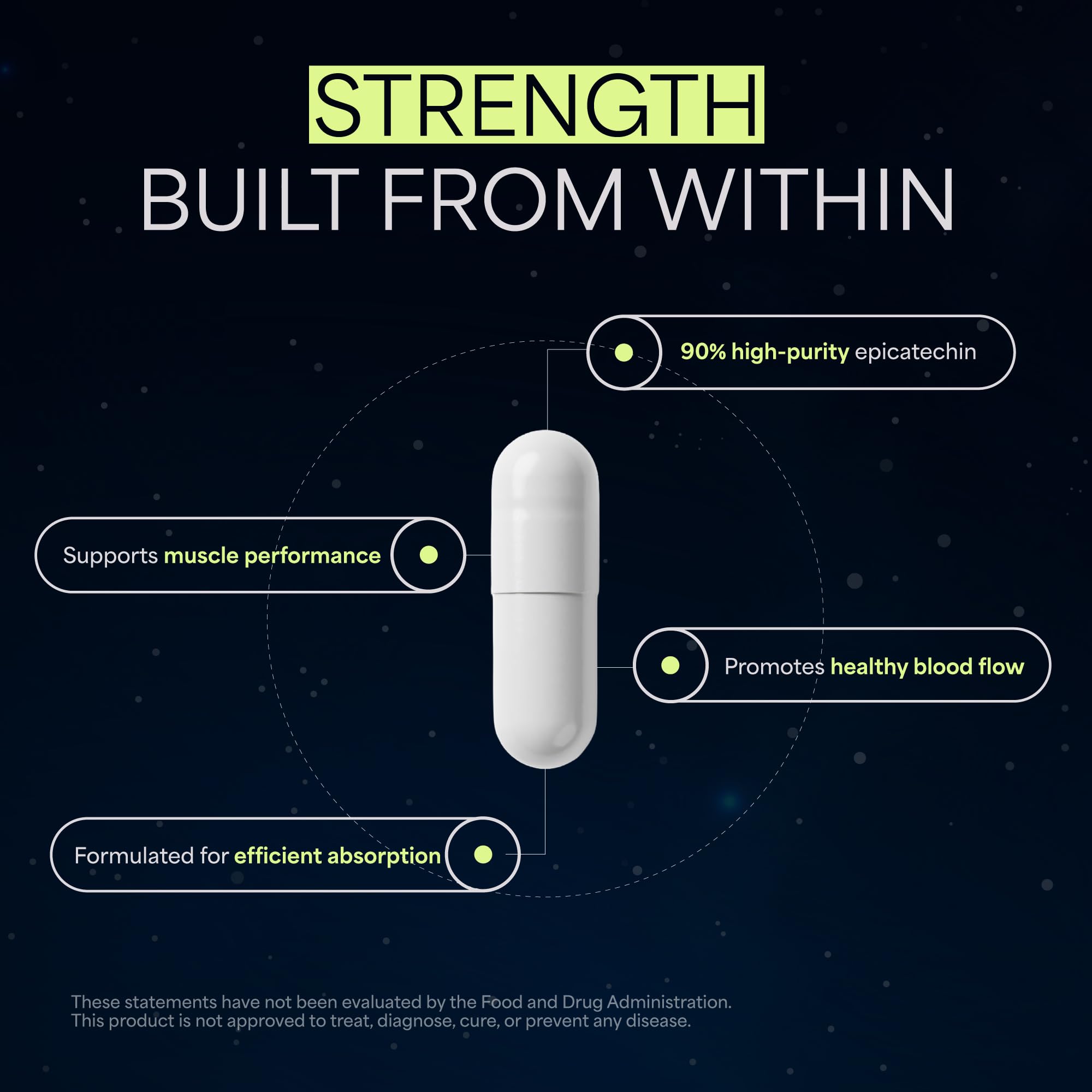 High Purity Epicatechin - 90 Capsules - Promotes Strength & Muscle Growth - Nitric Oxide Support - for Daily Performance - Epicatechin Supplements Made in USA — Amazon image 2