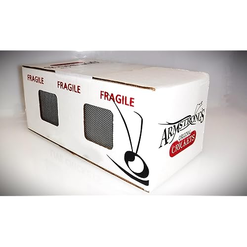 Crickets (Acheta Domesticus) (1000, 3/4" (2/3 Grown, just Before Adult))