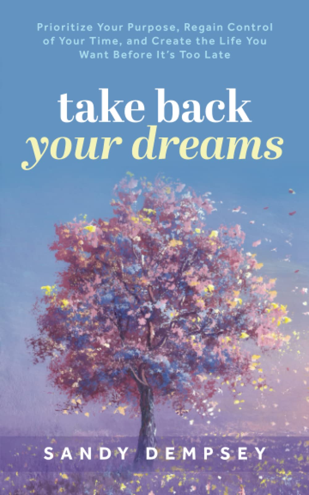 Take Back Your Dreams: Prioritize Your Purpose, Regain Control of Your Time, and Create the Life You Want Before It’s Too Late