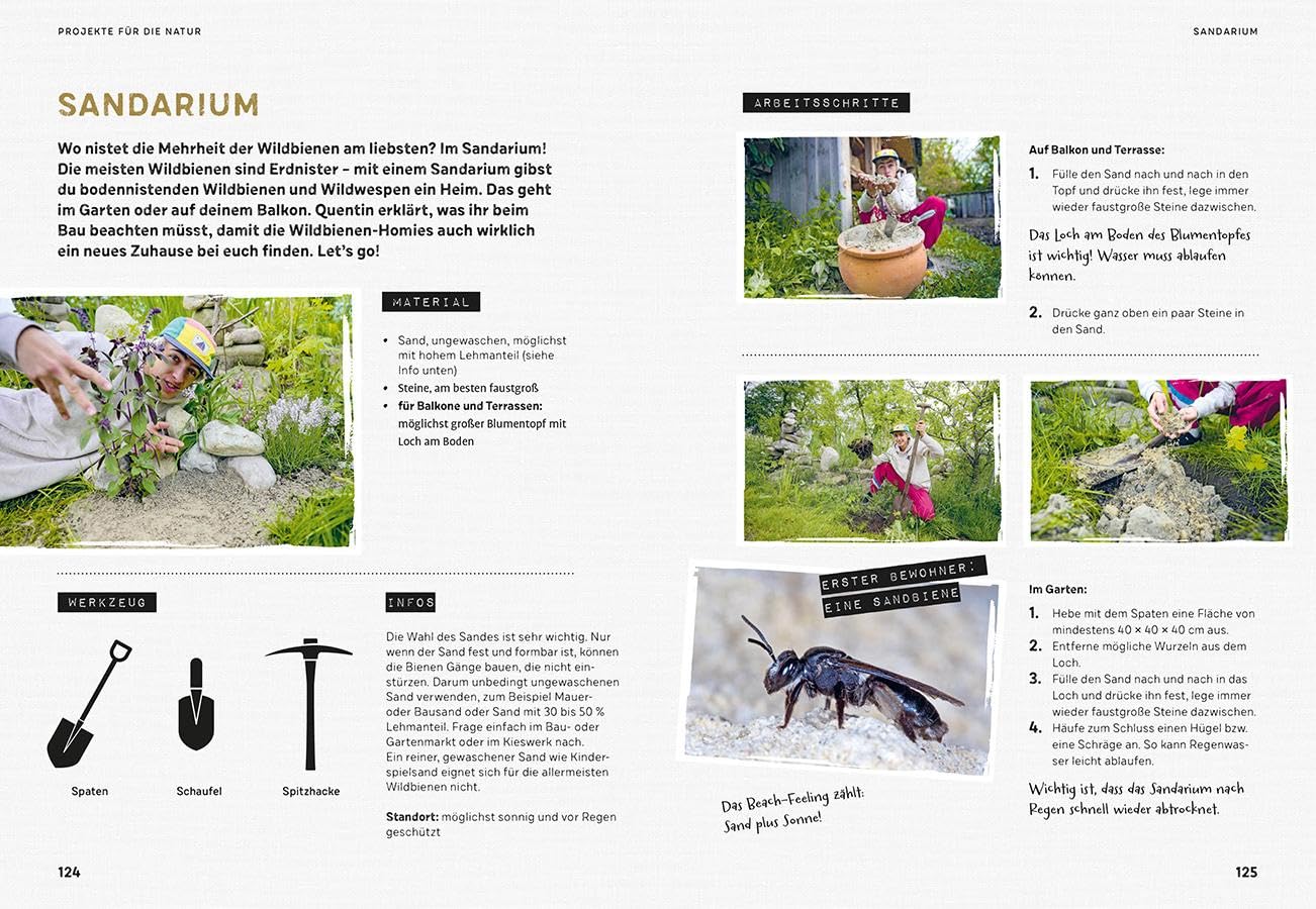 Quentins Welt der Bienen. #meetthebeefamily - Beesteez: Naturschutz mit Spaß! So krass lebt ein Bienenvolk: Erstaunliches über Wildbienen & Honigbienen plus Tipps, wie wir Bienen helfen können
