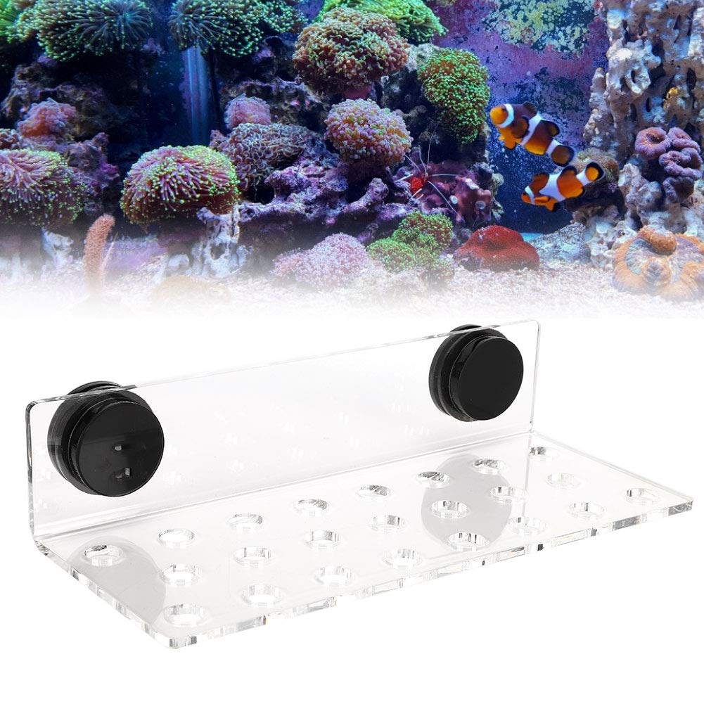 Jeanoko Vasca per Pesci Accessori Rack 3 Diversi Tipi Frag Rack 23 Fori