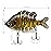 BASSDASH SwimPanfish Multi Jointed Panfish Bluegill Swimbaits Hard Topwater Bass Lures Fishing Lure Crank Saltwater 3.5in/0.85oz