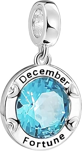 AMATOLOVE Dijes de piedra natal de enero a diciembre para pulseras de feliz cumpleaños para mujeres y niñas, regalos de circonita cúbica bonita